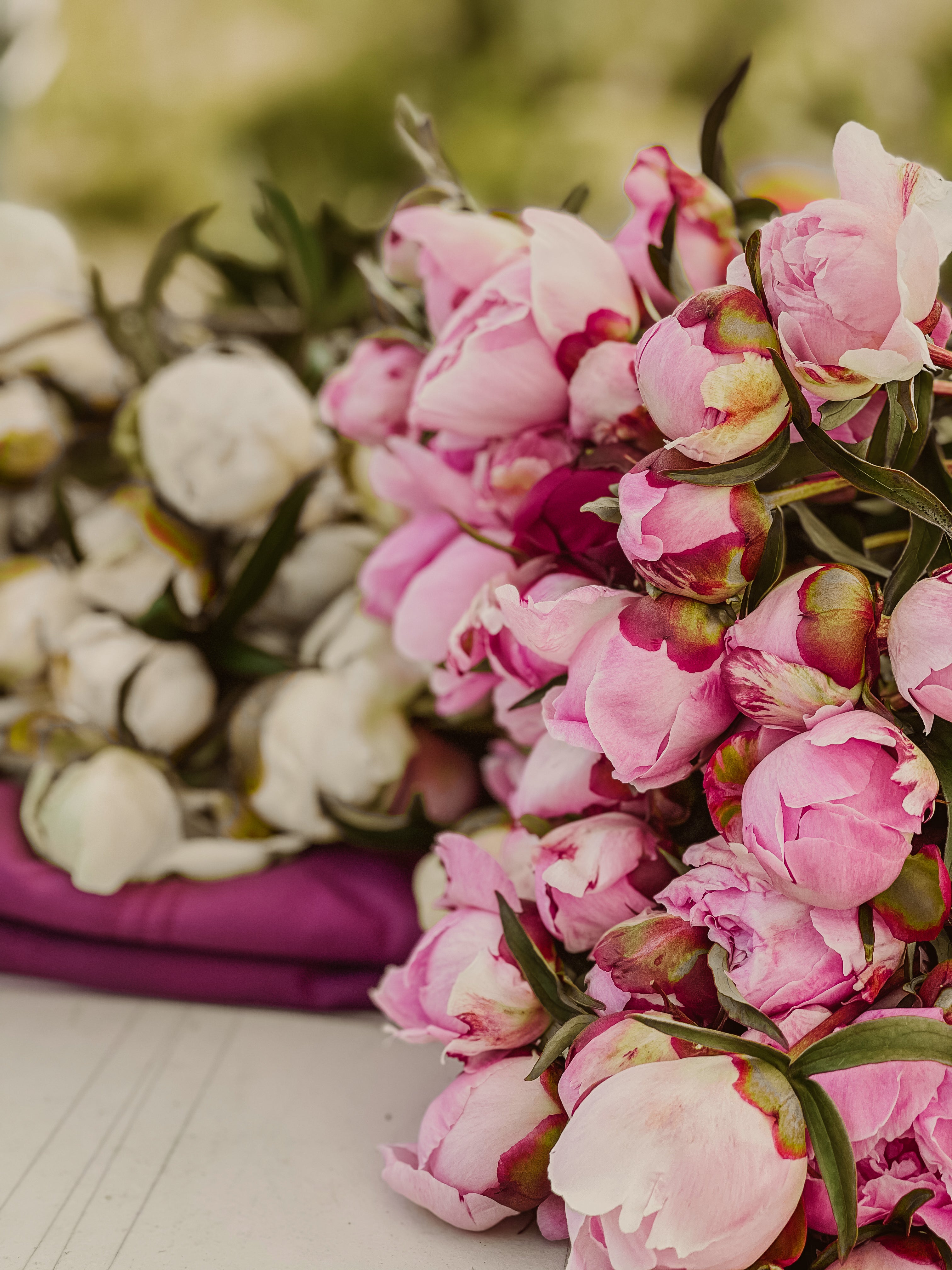 Pastel Petites - 50 Stems-Flower Box-Alaska Beauty Peony Coop-Alaska Beauty Peony Coop