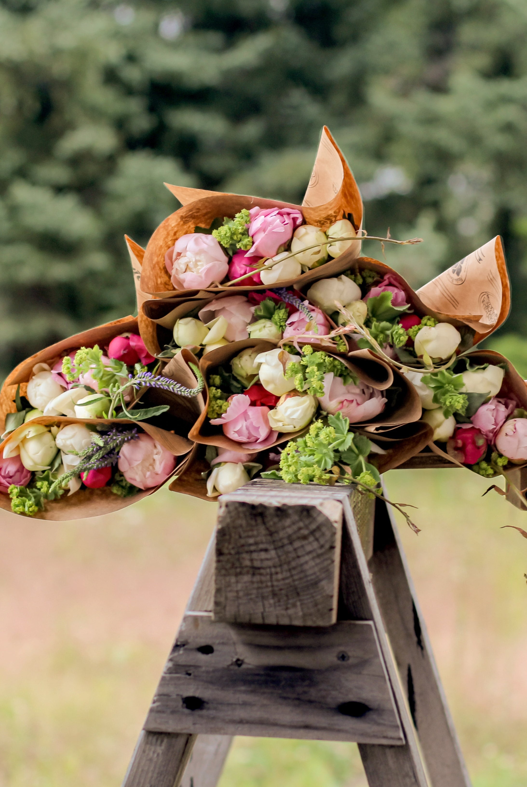 2026 Flower Subscription | Homer Pick-Up Only-Subscription-Alaska Beauty Peony Coop-4 Weeks-July 3-Pick Up-Alaska Beauty Peony Coop