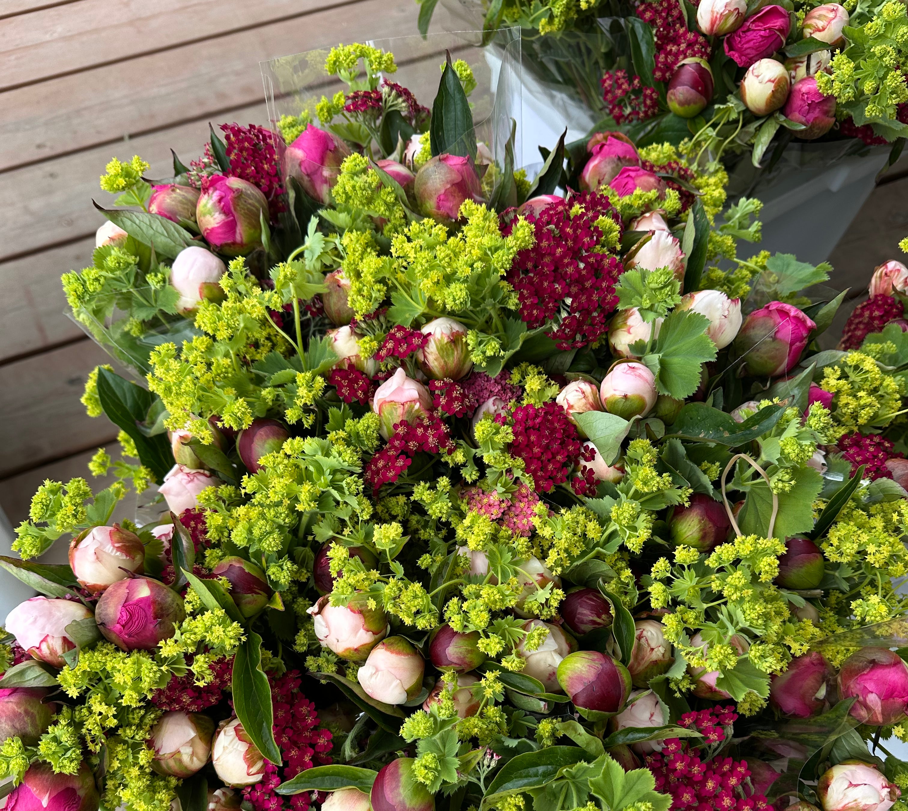 2026 Flower Subscription | Homer Pick-Up Only-Subscription-Alaska Beauty Peony Coop-4 Weeks-July 3-Pick Up-Alaska Beauty Peony Coop