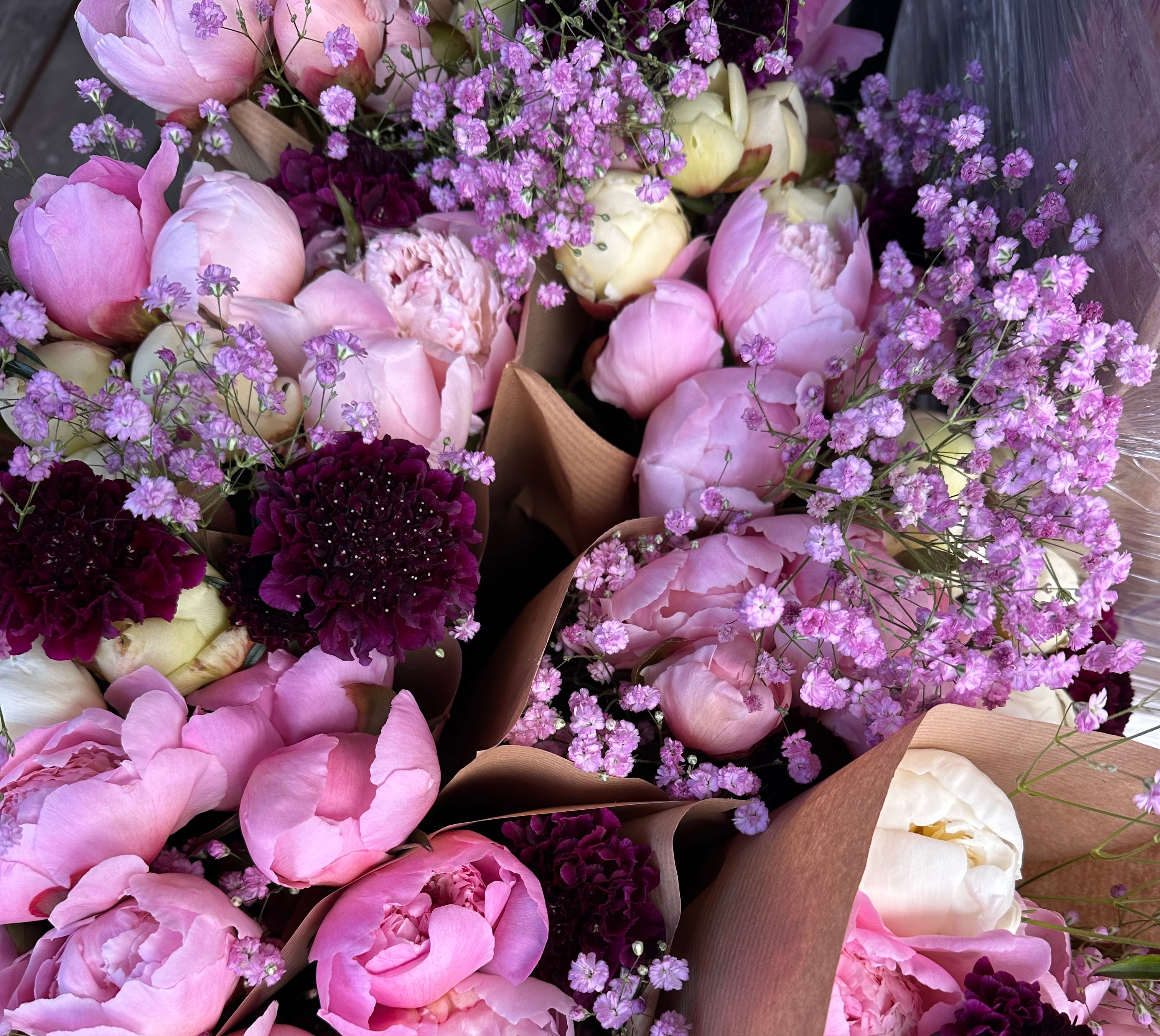 2026 Flower Subscription | Homer Pick-Up Only-Subscription-Alaska Beauty Peony Coop-4 Weeks-July 3-Pick Up-Alaska Beauty Peony Coop