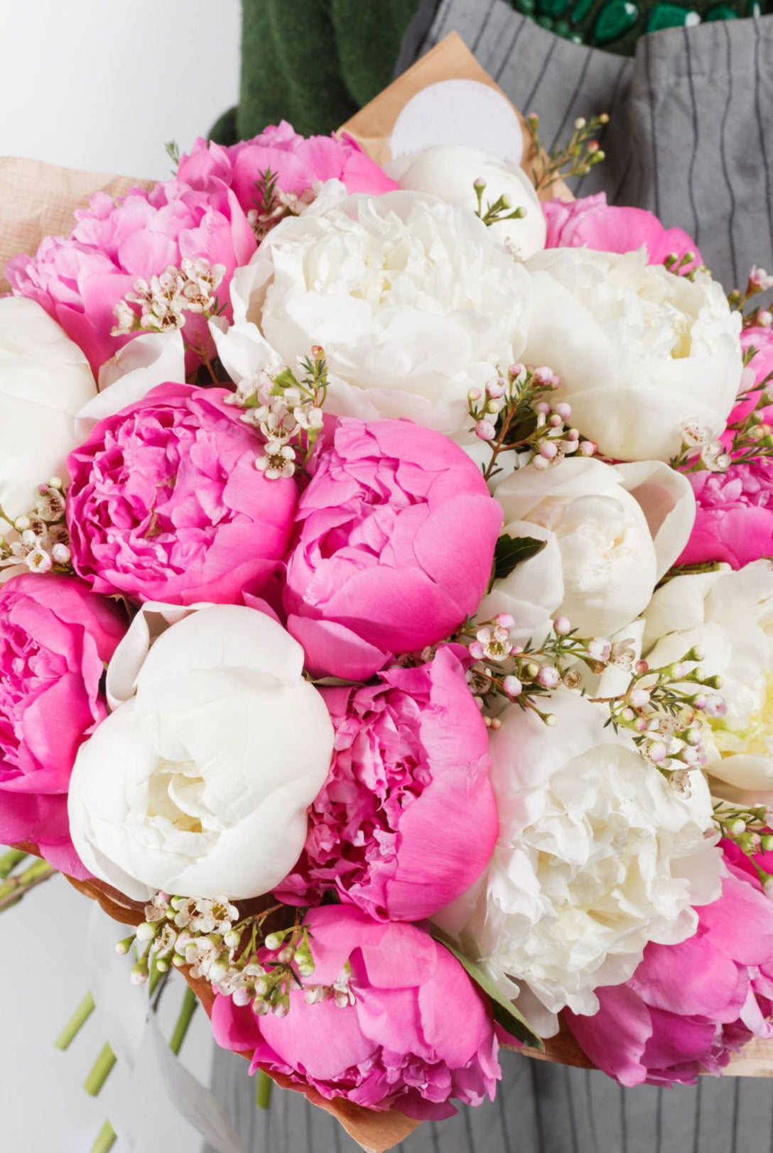 Designer Box | 50 Stems-Subscription-Alaska Beauty Peony Coop-White-1-July 20-Alaska Beauty Peony Coop