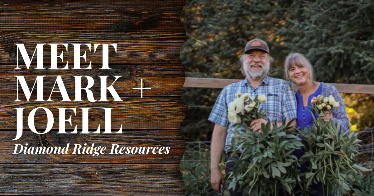 Diamond Ridge Resources // Mark + Joell
