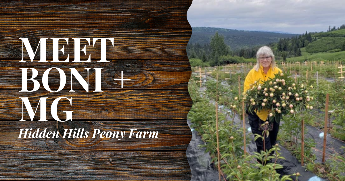 Hidden Hills Peony Farm // Boni + MG | Mobile Blog Banner | Alaska Beauty Peony Cooperative | Homer, AK