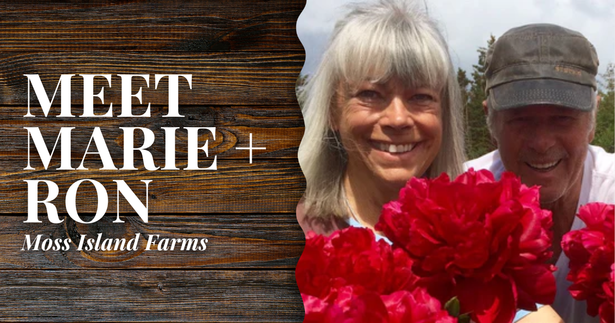 Moss Island Farms // Marie + Ron | Mobile Blog Banner | Alaska Beauty Peony Cooperative | Homer, AK