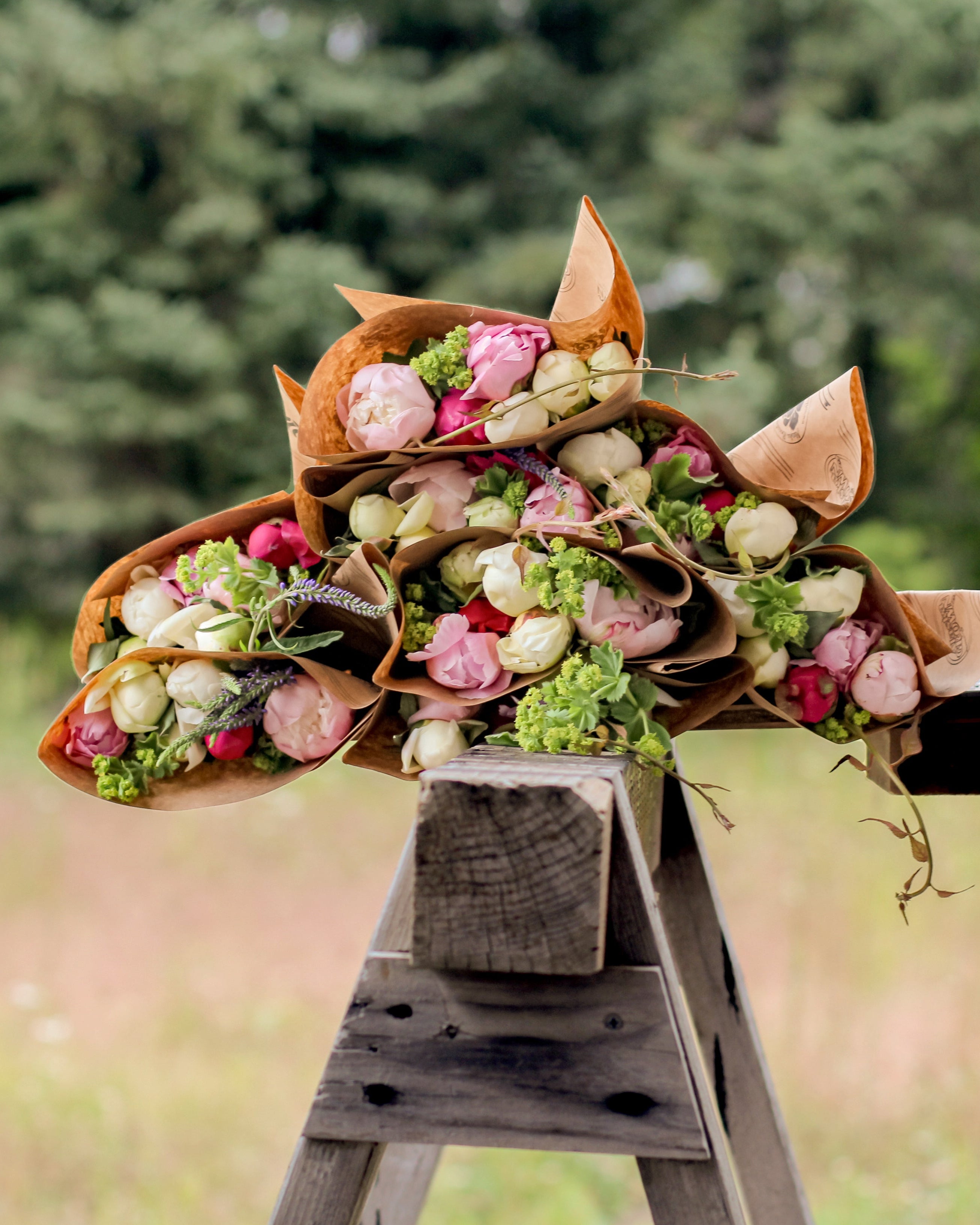 2026 Flower Subscription | Homer Pick-Up Only-Subscription-Alaska Beauty Peony Coop-4 Weeks-July 3-Pick Up-Alaska Beauty Peony Coop