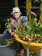 2026 Farmer for a Day-Event-Alaska Beauty Peony Coop-Alaska Beauty Peony Coop