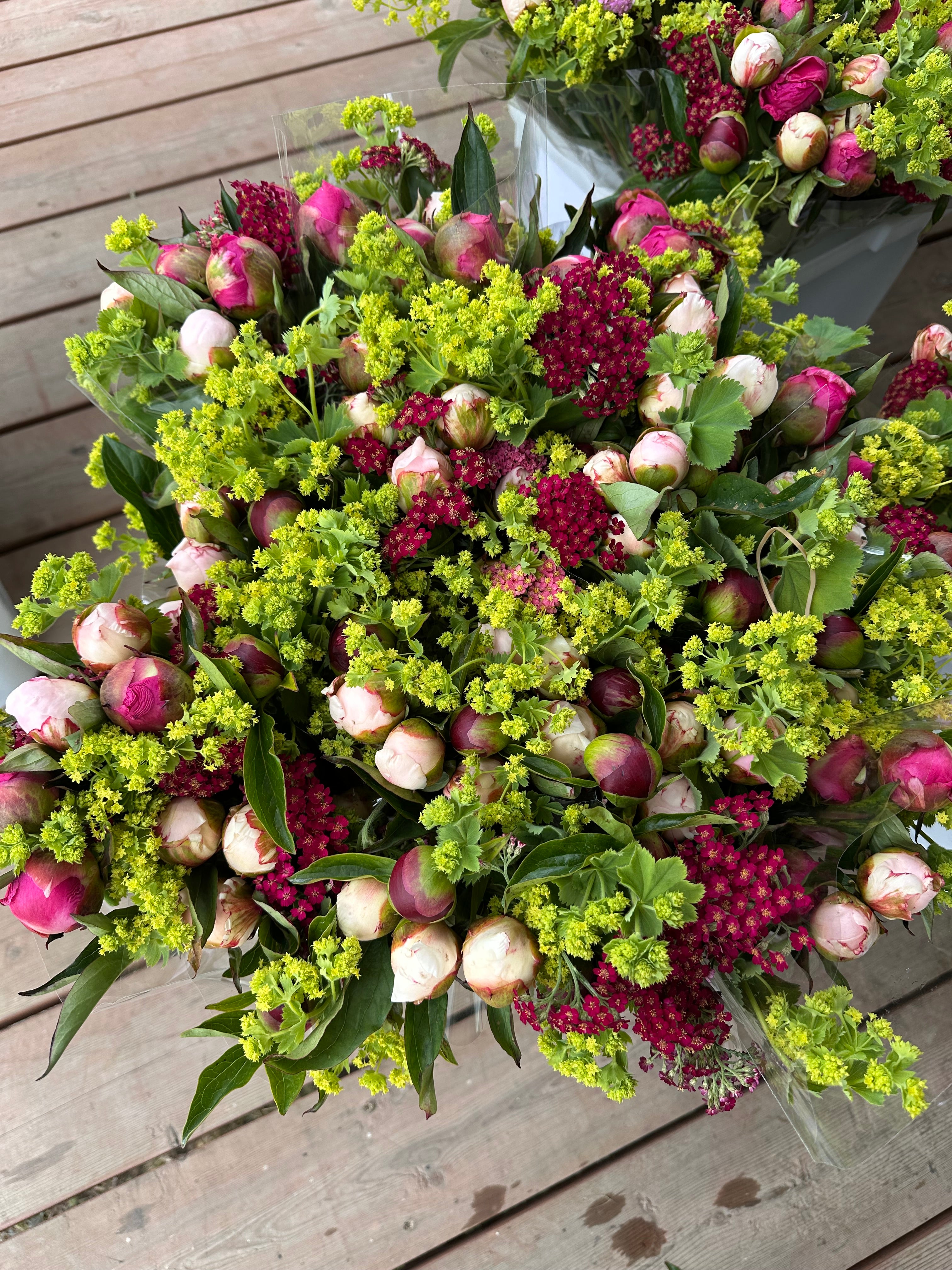 2026 Flower Subscription | Homer Pick-Up Only-Subscription-Alaska Beauty Peony Coop-4 Weeks-July 3-Pick Up-Alaska Beauty Peony Coop