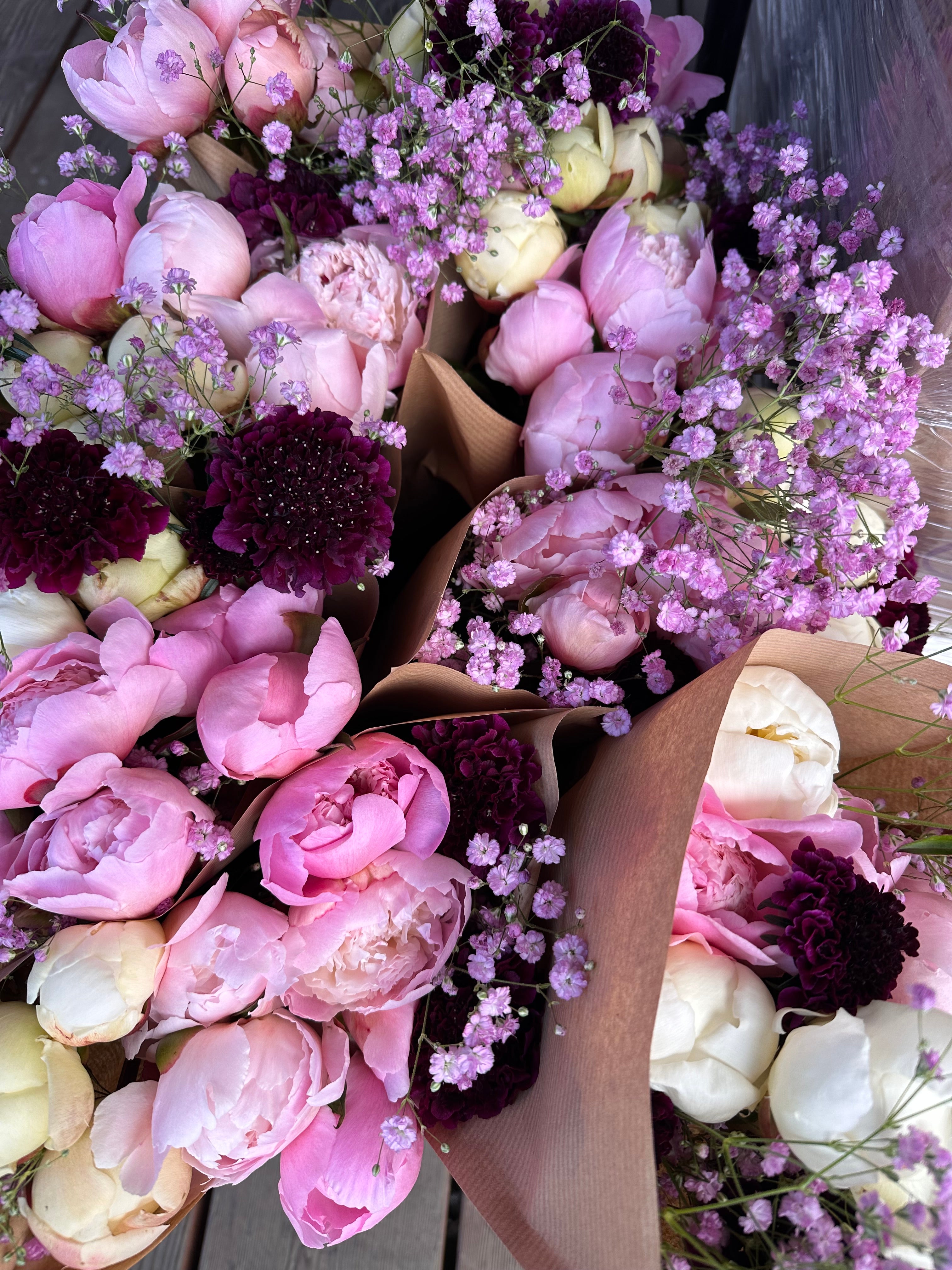 2026 Flower Subscription | Homer Pick-Up Only-Subscription-Alaska Beauty Peony Coop-4 Weeks-July 3-Pick Up-Alaska Beauty Peony Coop