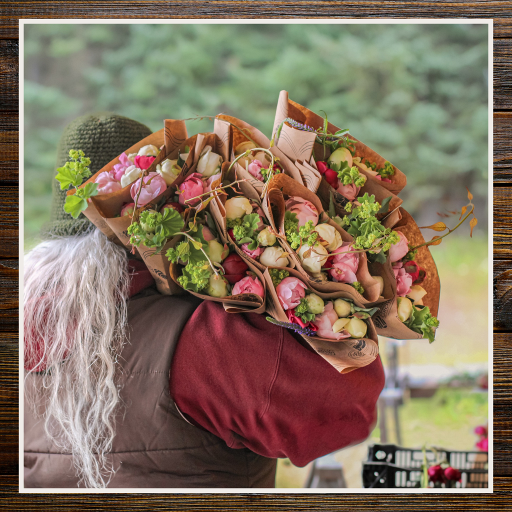 Peony Care 101 | Alaska Beauty Peony Cooperative | Homer, AK