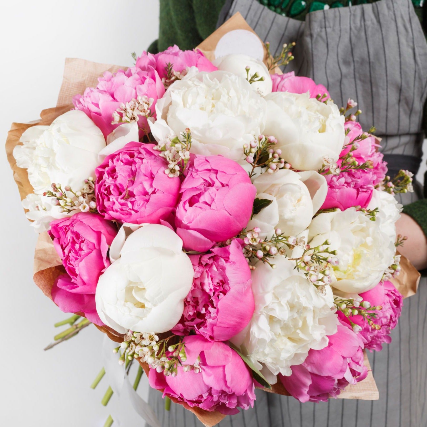 Designer Box | 50 Stems-Subscription-Alaska Beauty Peony Coop-White-1-July 20-Alaska Beauty Peony Coop