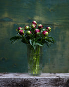 Red Peony Box - 50 Stems-Flower Box-Alaska Beauty Peony Coop-Alaska Beauty Peony Coop